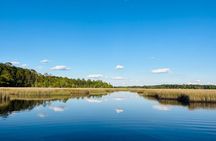 Evening Cruise Around Remote Tidal Salt Marsh