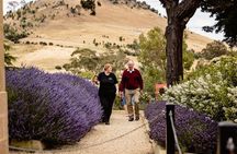 Tasmanian Whisky & Gin Tour