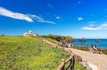 100% Safety Return - Jeju UNESCO Shore Excursion Cruise