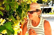 AVIGNON ULTIMATE TOUR: A Refined Food & Wine Experience