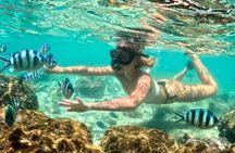 All Inclusive Koh Talu and 7 Islands Tour