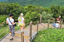 Jeju Island South UNESCO Highlights Day Tour With Mt Halla