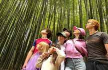 From Busan to Gyeongju UNESCO Authentic Tour
