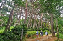 From Busan to Gyeongju UNESCO Authentic Tour