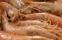 Food experience: Tapas, Paella and Wine Pairing