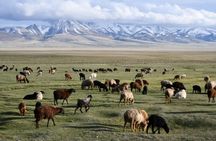 Kyrgyzstan 5-Days Song Kul Lake,Issyk Kul Lake & Kok Jaiyk Valley