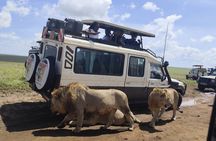 3 days Masai Mara Kenya Safari Private Safari