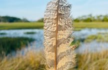 Morning Marsh Magic Wildlife Boat Tour