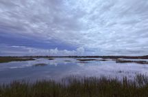 Morning Marsh Magic Wildlife Boat Tour