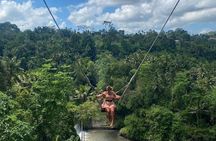 Ubud: Waterfalls, Temple & Rice Terrace Day Tour