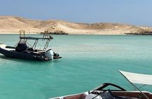 Speed Boat to Dolphin House, Sandbank Snorkeling Hurghada