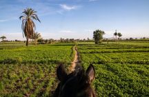 Luxor East Bank Tour - Horse Riding and Sightseeing