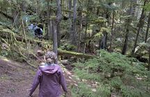 Nymph Falls Nature Walk