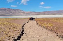 3-Day Tour in San Pedro de Atacama with Tickets and Food