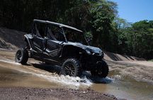 Honda TALON 2hrs Jungle Tour from Jacó