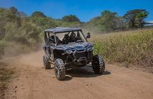 2 Hours Honda TALON 1000X4 Jungle Tour in Jacó