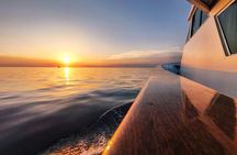 Sunset Cruise with Dolphin Spotting from Umag with Welcome Drink
