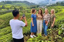 From Jakarta ATV Adventure, Hot Springs and Tea Trails