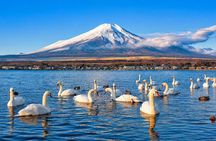 Mount Fuji & Lake Kawaguchi Small Group Tour from Tokyo - Max 12