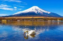 Mount Fuji & Lake Kawaguchi Small Group Tour from Tokyo - Max 12