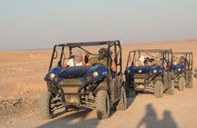 El Gouna Sahara Dune Buggy Morning Adventure