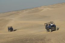 El Gouna Sahara Dune Buggy Morning Adventure