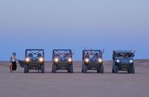 El Gouna Sahara Dune Buggy Morning Adventure