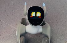 Shanghai: High Tech of Robots and Driveless Car Half Day Tour
