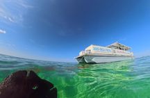 Summertime Morning Swim in the Florida Keys Catamaran