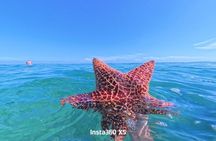 Summertime Morning Swim in the Florida Keys Catamaran