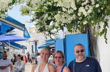 Visit of Carthage and Bardo Museum with Luxury Transport