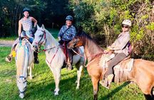 Houston Area: 1-Hour Horseback Ride