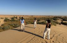 Private White and Black Desert Overnight Camping from Cairo