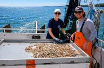 Hilton Head Shrimp Trawling Boat Cruise