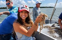 Hilton Head Shrimp Trawling Boat Cruise
