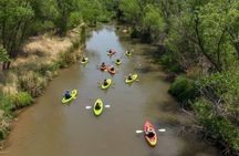 Guided Kayak Adventure on the Verde River