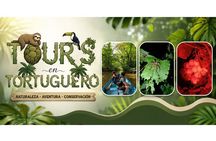 Canoe tour, hiking tour to the jaguar sector and turtle spawning