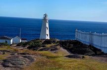 Newfoundland A Cooastal Journey Private Tour 3 / vehicle 6 Hrs