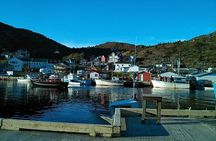 Newfoundland A Cooastal Journey Private Tour 3 / vehicle 6 Hrs