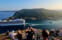 Newfoundland A Cooastal Journey Private Tour 3 / vehicle 6 Hrs