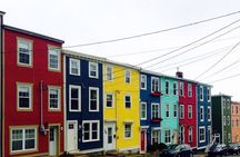 St. John's City and Coastal Journey Private SUV Tour ~ 6 Hours