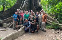 search for sloths with suspension bridge in the jungle and viewpoint