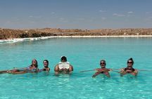 Private 3-Day Siwa Oasis Tour from Cairo | Salt Lakes & Safari
