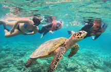 Shared Snorkeling Adventure to Menjangan Island Bali