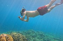 Shared Snorkeling Adventure to Menjangan Island Bali