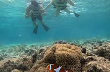 Shared Snorkeling Adventure to Menjangan Island Bali
