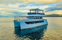 Hobart 3 Hour Sightseeing and Fishing Cruise