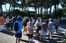 Pompeii and Emotions on Mount Vesuvius: Guided Tour from Naples by Bus