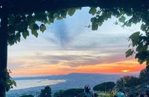Pompeii and Emotions on Mount Vesuvius: Guided Tour from Naples by Bus