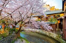 Kyoto 3 Hour Private Walking Tour with Temple Admission